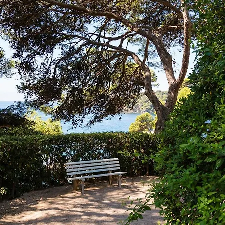 Residence Hoteliere Le Provencal A Giens - Bord De Mer *