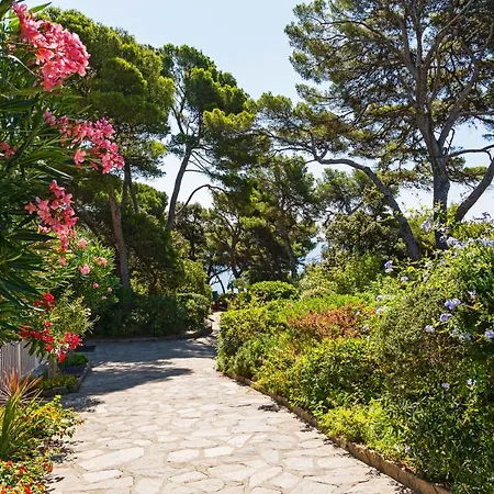 Residence Hoteliere Le Provencal A Giens - Bord De Mer *